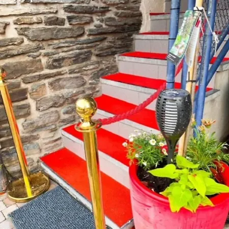 Foret D'animaux Bed & Breakfast