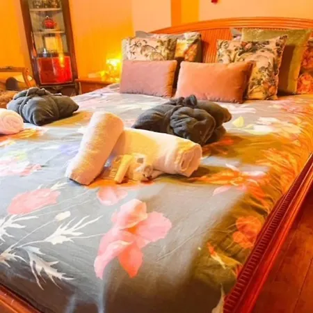 Bed and Breakfast Foret D'animaux Bouillon