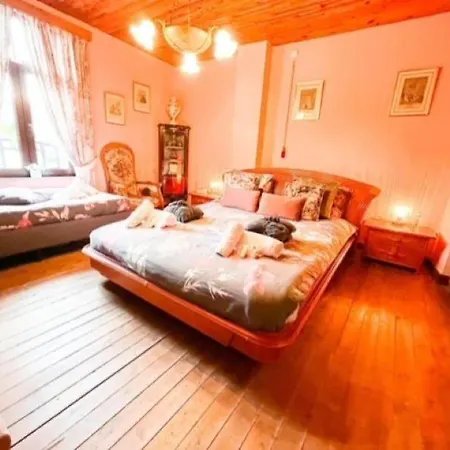 Bed & Breakfast Foret D'animaux *