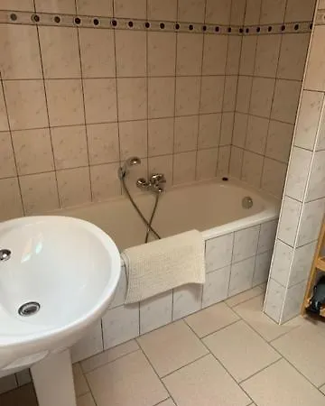 Foret D'animaux Bouillon