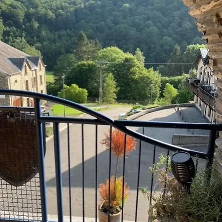 Foret D'animaux Bouillon
