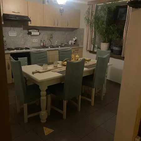 Foret D'animaux Bouillon